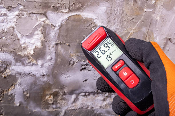 Best Mold Removal Company Near Me  in Groves, TX